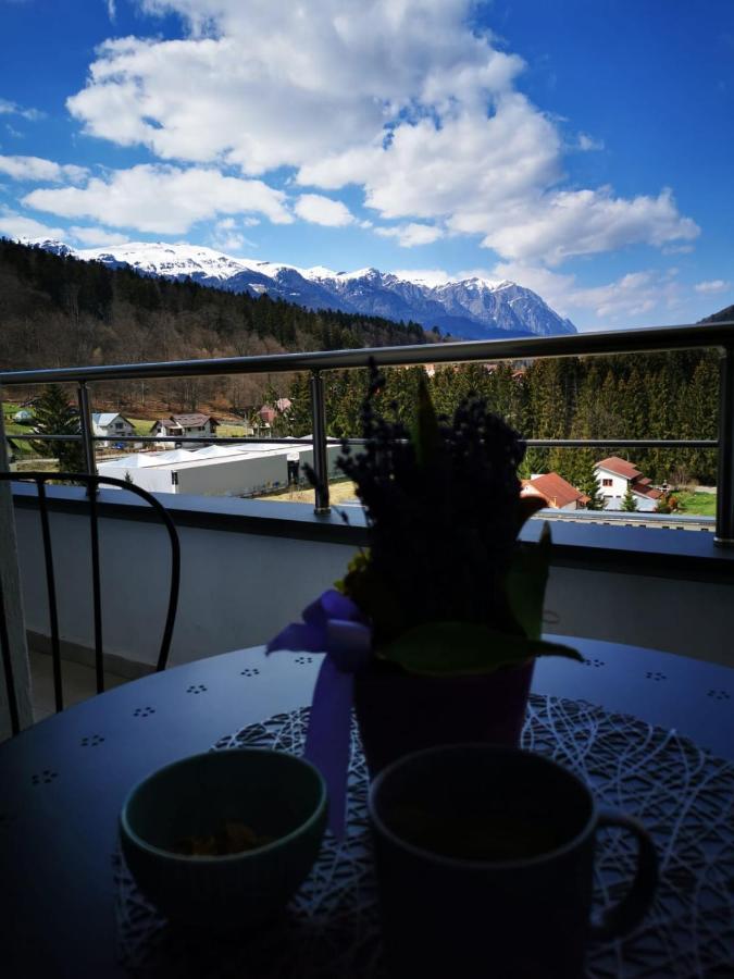 Appartement Bucegi View 39 - Colina Marei à Sinaia Extérieur photo